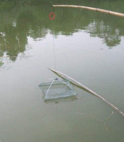 Foldable Umbrella Fishing Dip Net - Green - Home & Garden -